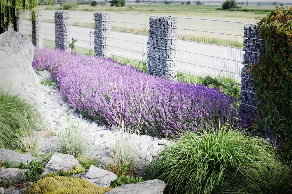 Gabion stone GREEN GABION 31/63 – 500 kg