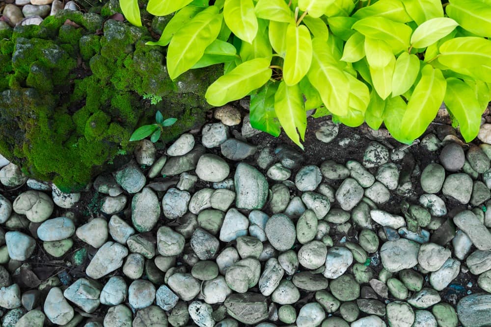 GREEN DREAM S pebbles (10/20 mm) - 1 ton