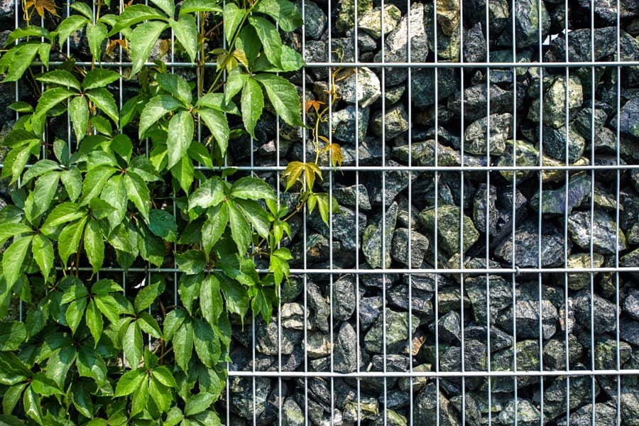 Gabion stone GREEN GABION 31/63 - 1 ton